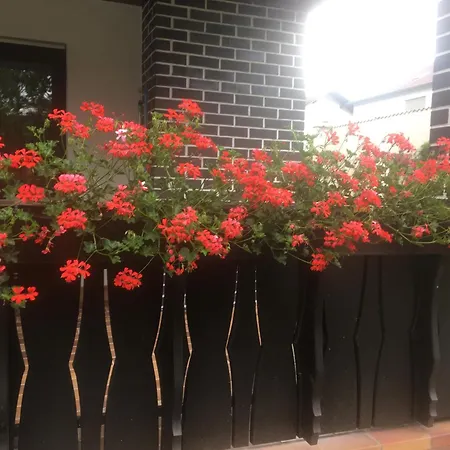 Hildenbrand * Odernheim am Glan