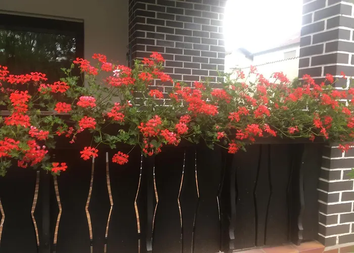 Hildenbrand * Odernheim am Glan